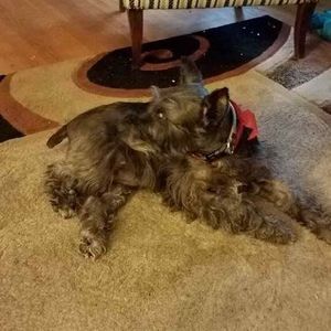 Meet your Posher, Veronica